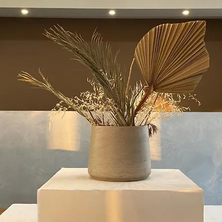 Agallio Nature - Adults Only Agalás