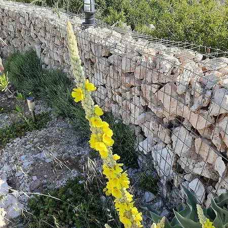 فندق Agallio Nature - Adults Only